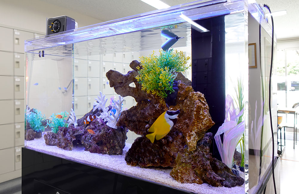 岩組と人工水草を配置した海水魚水槽のレイアウトイメージ
