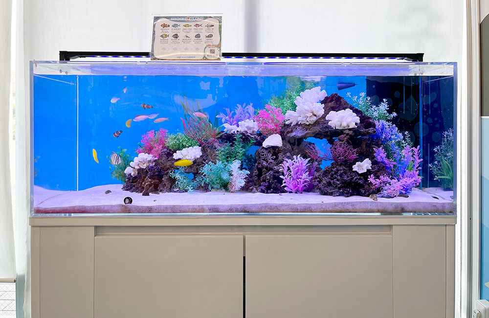 カラフルな人工サンゴと海水魚が泳ぐ大型の海水水槽