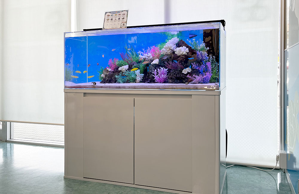 白い水槽台に設置されたサンゴ模型と熱帯魚の大型水槽