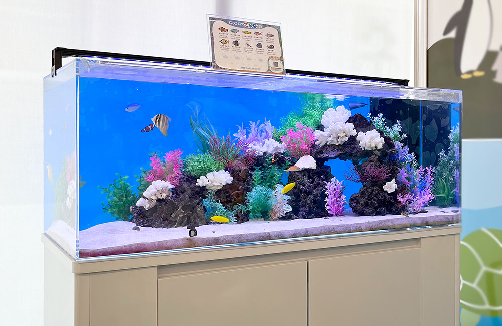 カラフルな人工サンゴと熱帯魚が泳ぐ大型の海水魚水槽