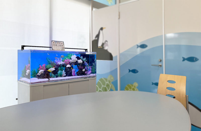 こどもクリニックに海水魚水槽を設置!魚が元気よく泳ぐ120cm水槽 水槽画像1