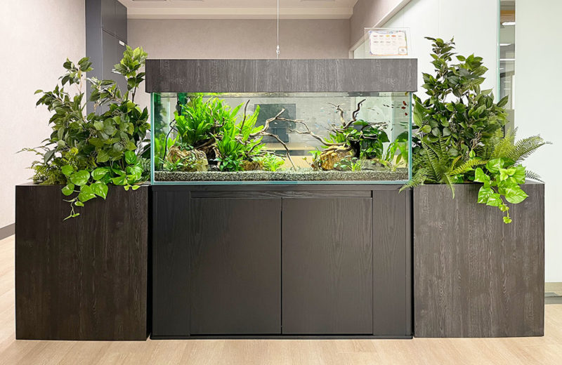 オフィスの120cm水草水槽!緑の癒しを演出します 水槽画像2