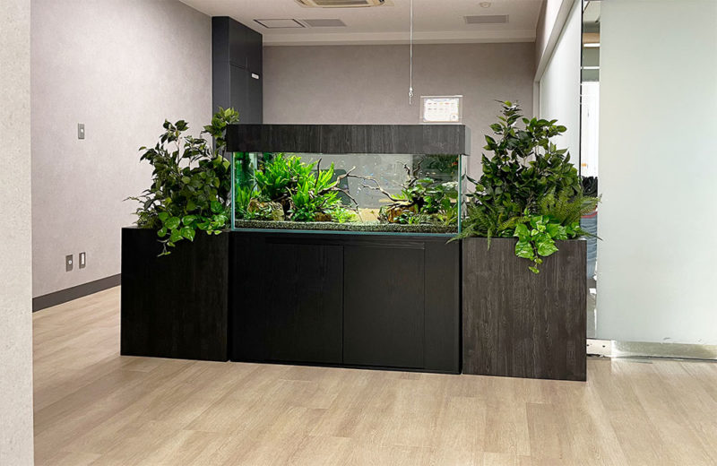 オフィスの120cm水草水槽!緑の癒しを演出します 水槽画像3