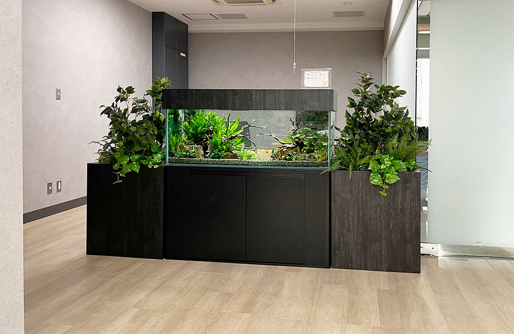 観葉植物と並んで設置された大型の淡水魚水槽と黒い水槽台