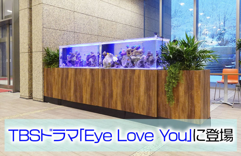 TBSドラマ「Eye Love You」に登場!サンゴ水槽2台を短期レンタルサムネイル
