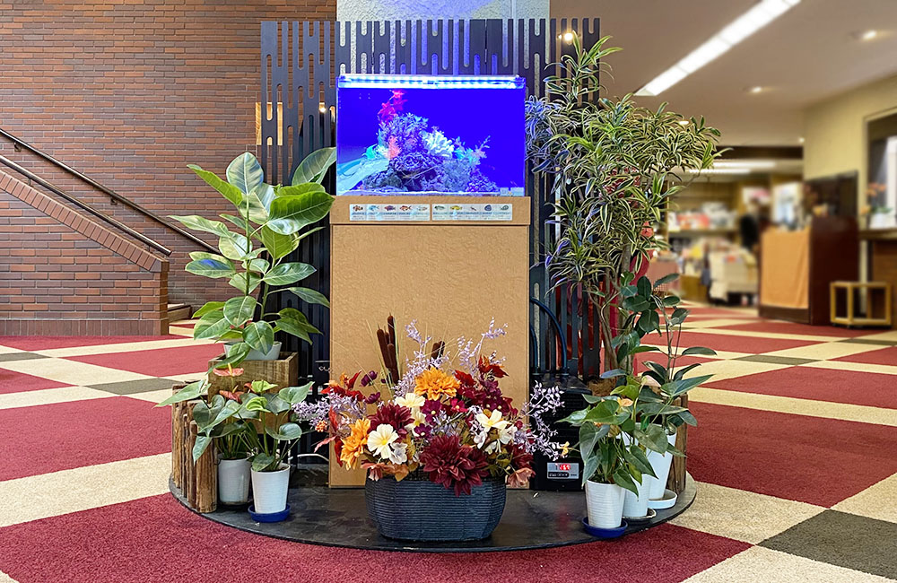 観葉植物と花に囲まれた青い照明の海水魚水槽