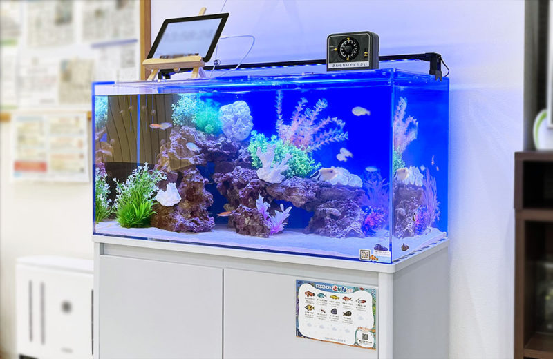 待合室の90cm海水魚水槽 クリニックのレンタル事例 水槽画像1