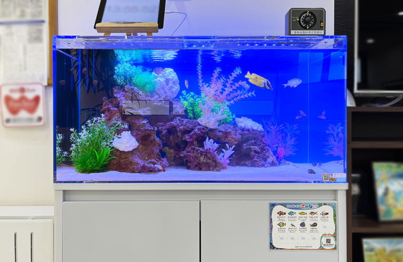 待合室の90cm海水魚水槽 クリニックのレンタル事例 水槽画像3