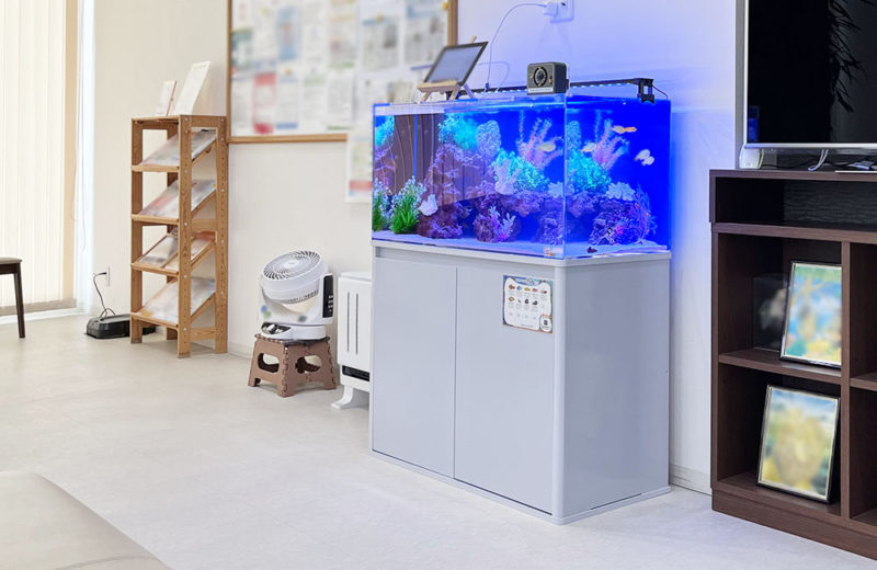 待合室の90cm海水魚水槽 クリニックのレンタル事例 水槽画像5