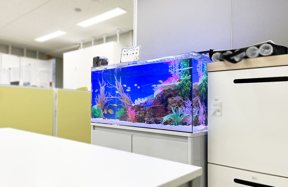 事務所内の90cm水槽その2！オフィスにぴったりの海水水槽