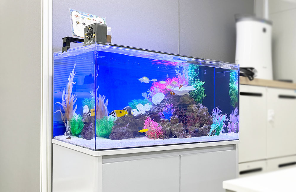 海水魚と人工サンゴを配置した青い照明の横長水槽