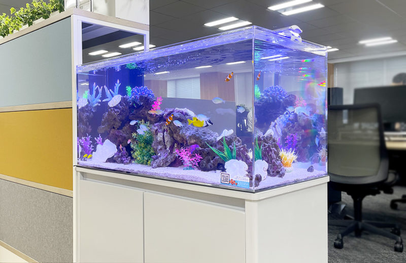東京都千代田区 株式会社ニチレイロジグループ本社様 90cm海水魚水槽 レンタル事例 水槽画像1