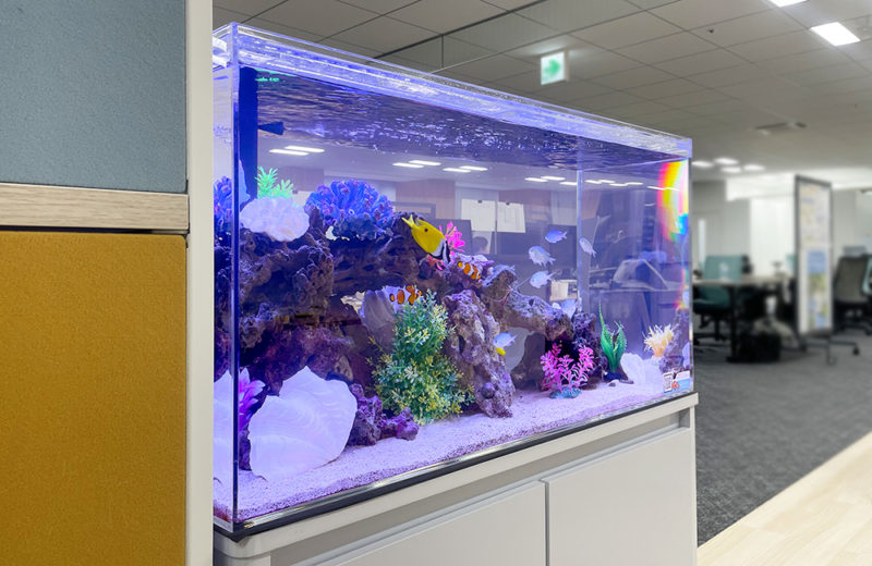 東京都千代田区 株式会社ニチレイロジグループ本社様 90cm海水魚水槽 レンタル事例 水槽画像3