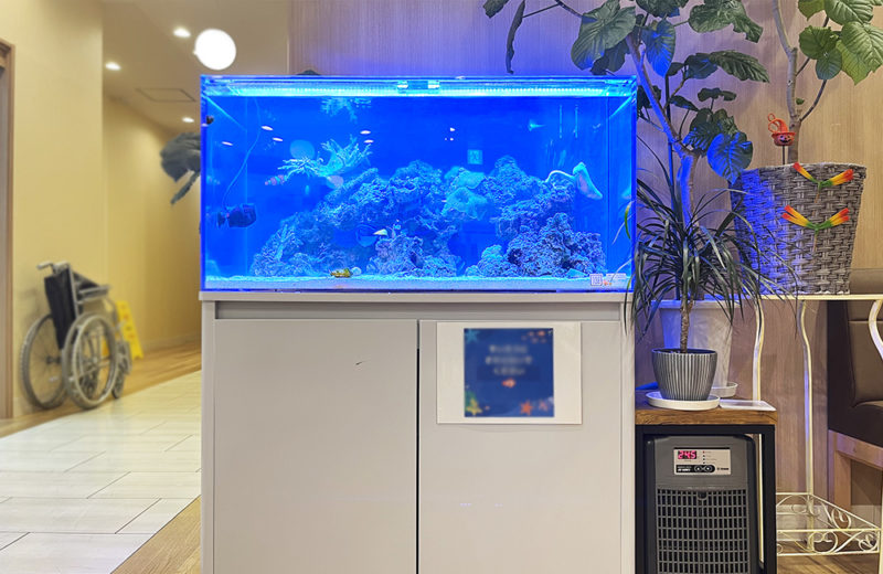 神奈川県 クリニック様 90cmサンゴ水槽 レンタル事例 その後 水槽画像1