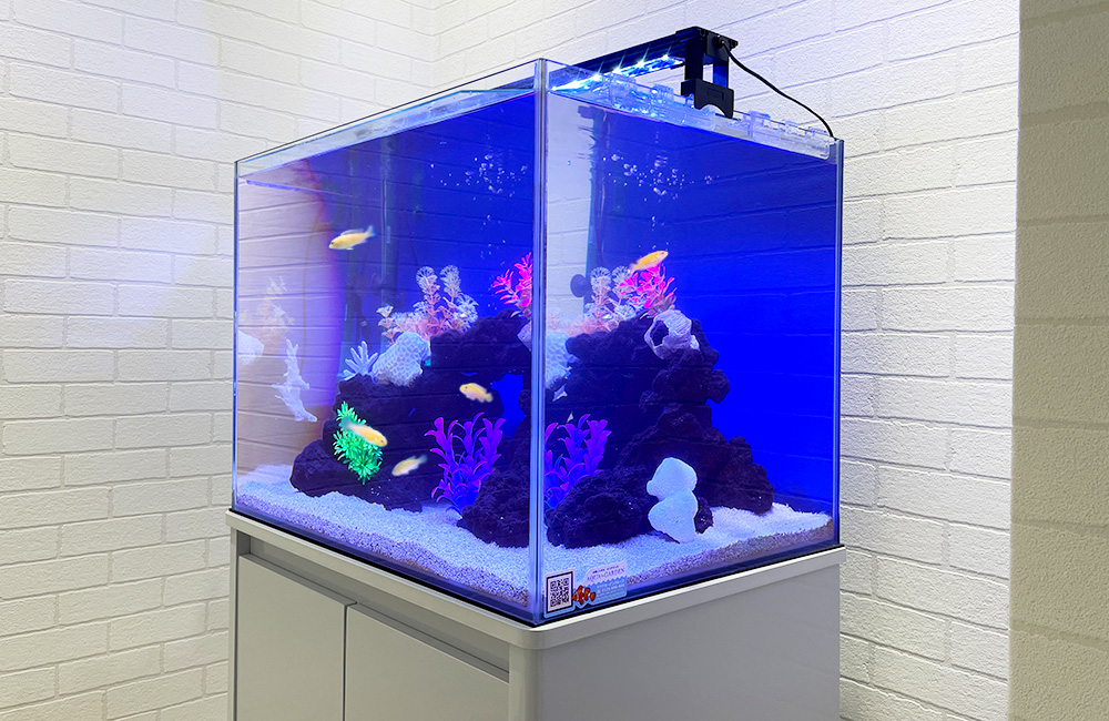 青い照明に照らされた人工水草と岩組みの熱帯魚水槽