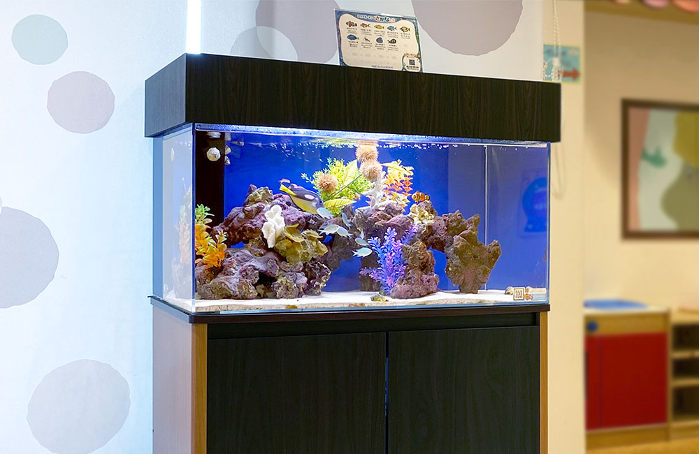 岩組と人工サンゴを配置した海水魚水槽のレイアウト