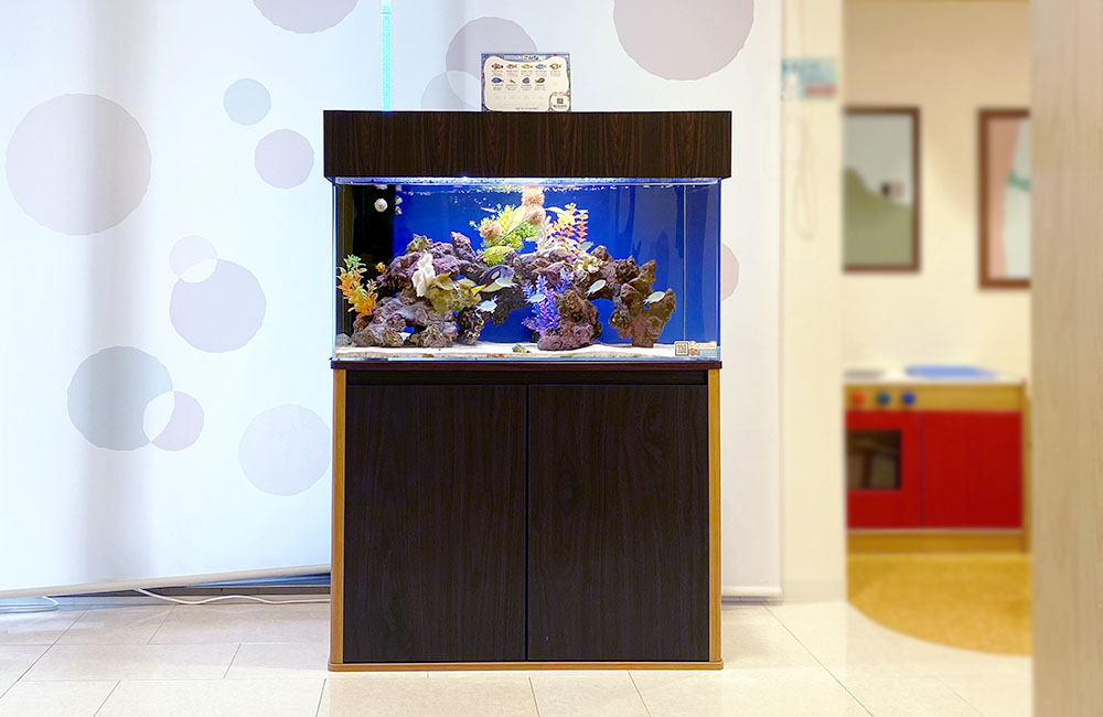 木目調の水槽台に設置された海水魚水槽と岩のレイアウト