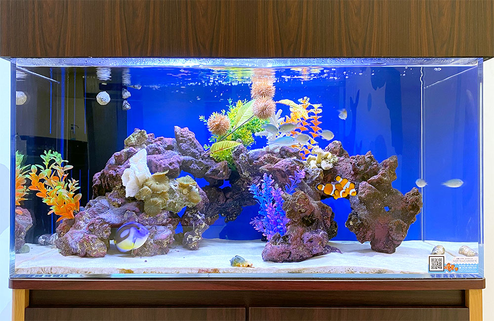季節のレイアウトも楽しめる、こどもクリニックの90cm海水アクアリウム（季節感を演出した、こどもクリニック向け海水魚水槽）