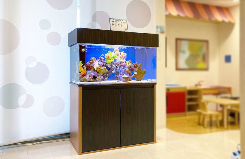 東京都港区 クリニック様 90cm海水魚水槽 レンタル事例 水槽画像1