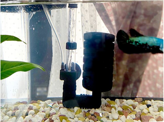 砂利を敷いた水槽内に設置された投げ込み式フィルター