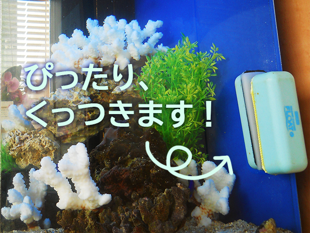ぴったり、くっつきます!の文字と水槽用マグネットクリーナー