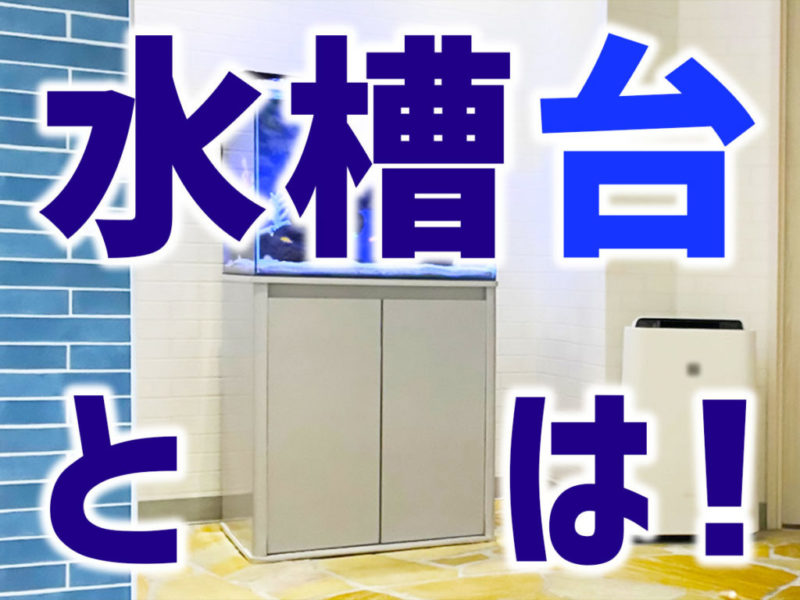 水槽台とは！の文字と白い水槽台に設置された水槽の画像