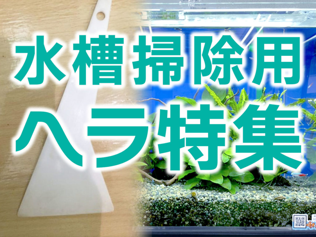 水槽用ヘラ特集!おすすめ製品とスクレーパーを使うメリット・活用法のサムネイル画像