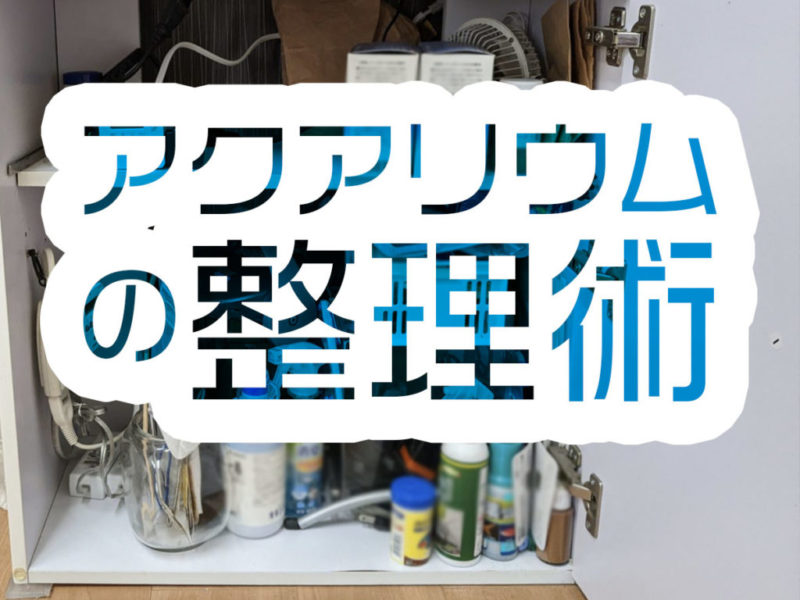 アクアリウムの整理術の文字と水槽台内部の用品類