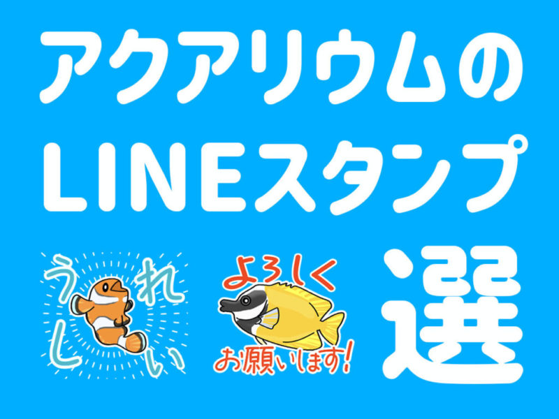 アクアリウムのLINEスタンプ選の見出し画像