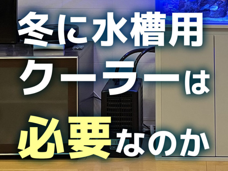 冬に水槽用クーラーは必要かという文字入りの見出し画像