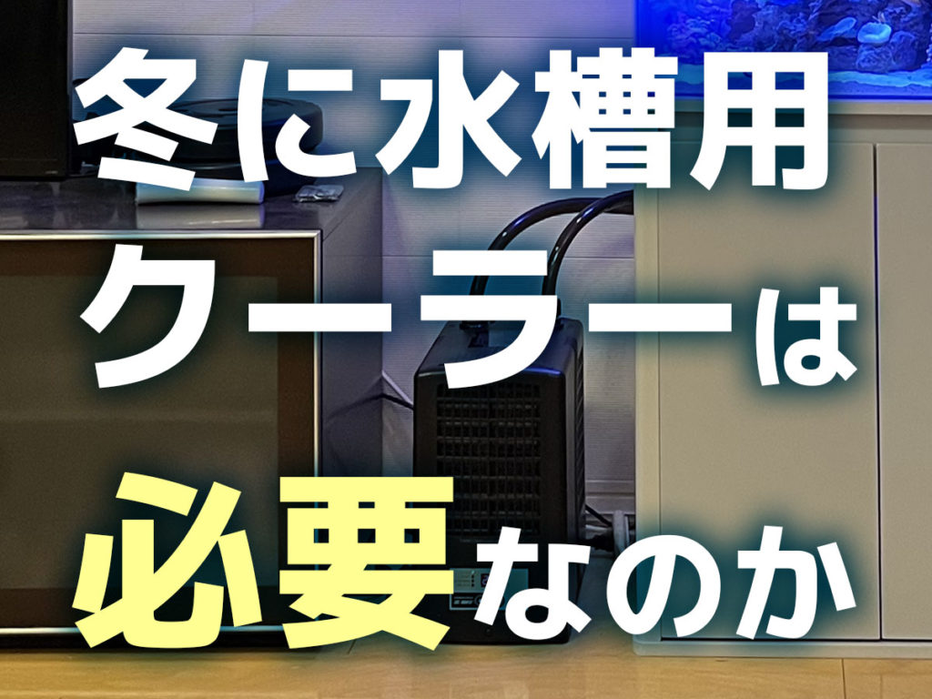 冬に水槽用クーラーは必要なのか？寒い時期も使い続けるメリットとはのサムネイル画像