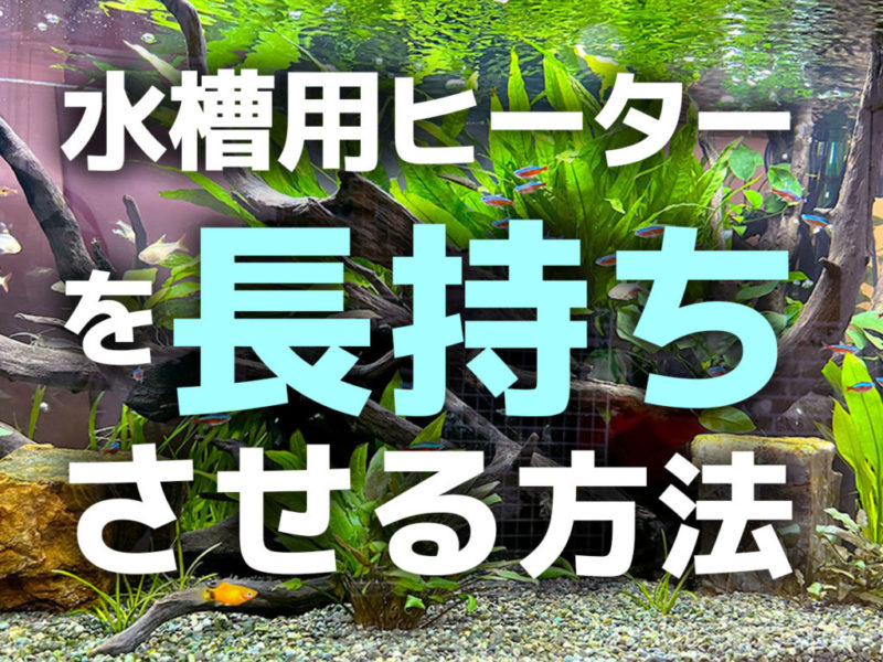 水槽用ヒーターを長持ちさせる方法の文字入り見出し画像