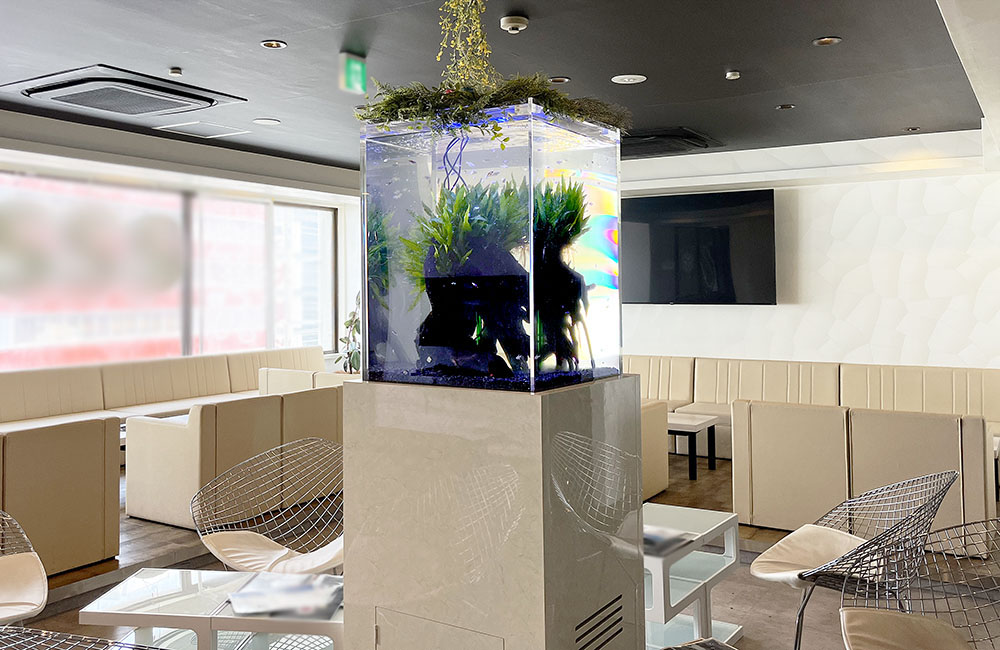 ラウンジ中央に設置された背の高い水槽と水草のレイアウト