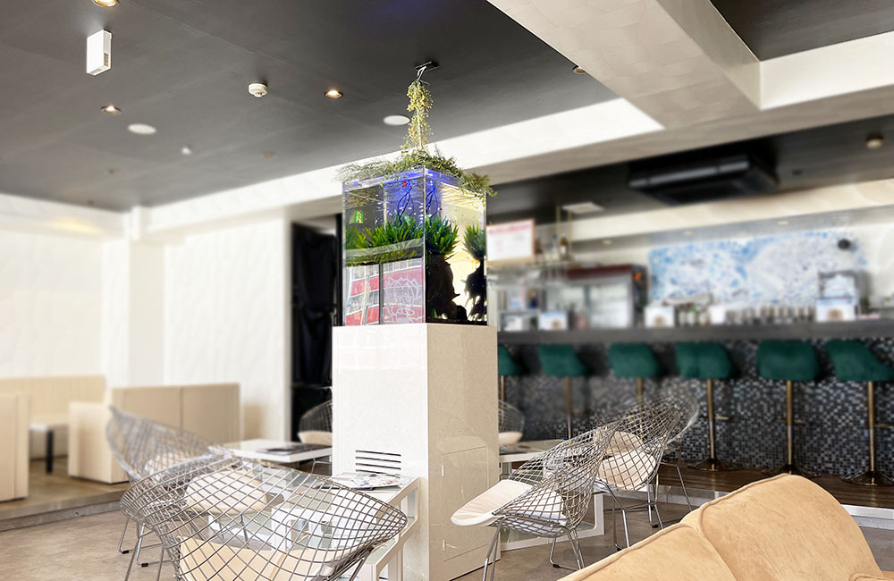 飲食店内に設置された背の高い水槽と白い水槽台