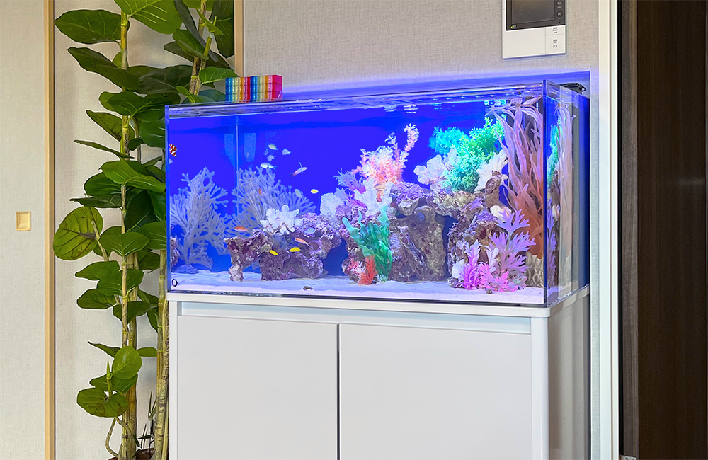 青い照明の海水風水槽と白い水槽台と観葉植物