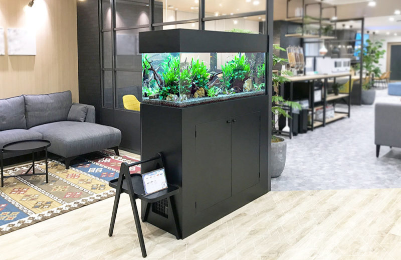 120cm淡水魚水槽 販売・設置メンテナンス事例 水槽画像3