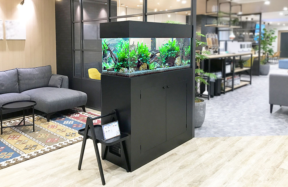 オフィスに設置された黒い大型水槽と水草レイアウト