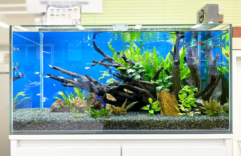 90cm水槽
