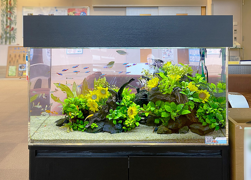 ひまわりの造花と水草で飾られた熱帯魚水槽のレイアウト