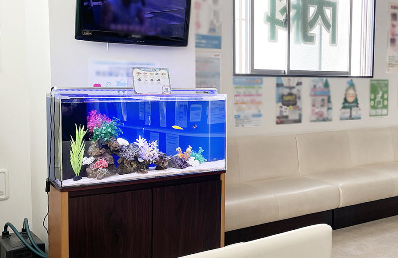 待合室の90cm海水魚水槽 レンタル事例 水槽画像1
