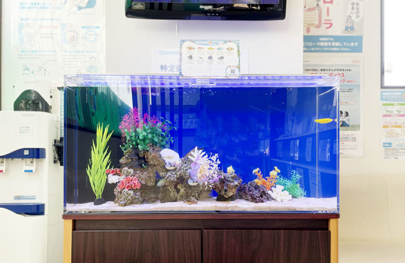 待合室の90cm海水魚水槽 レンタル事例 水槽画像2