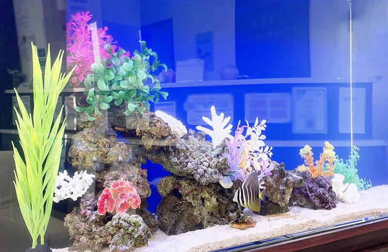 待合室の90cm海水魚水槽 レンタル事例 水槽画像5