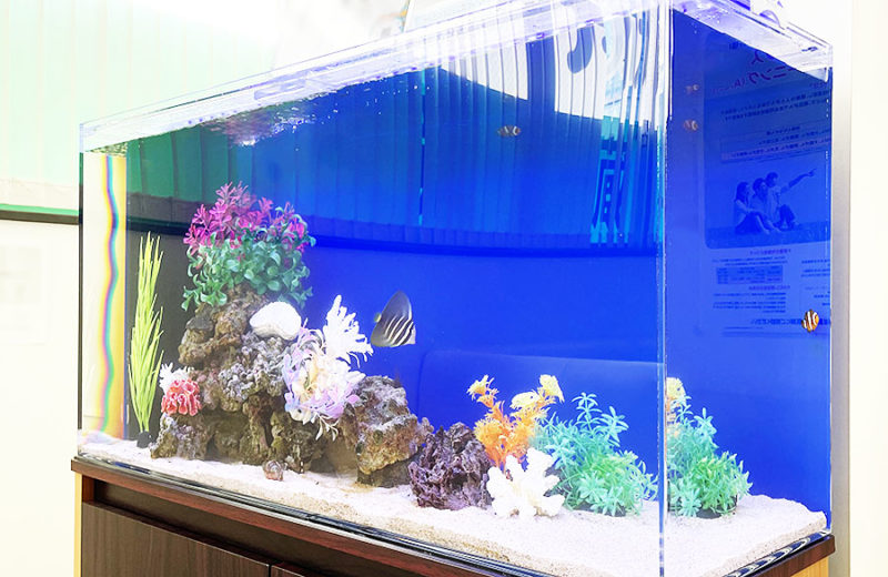 待合室の90cm海水魚水槽 レンタル事例 水槽画像3