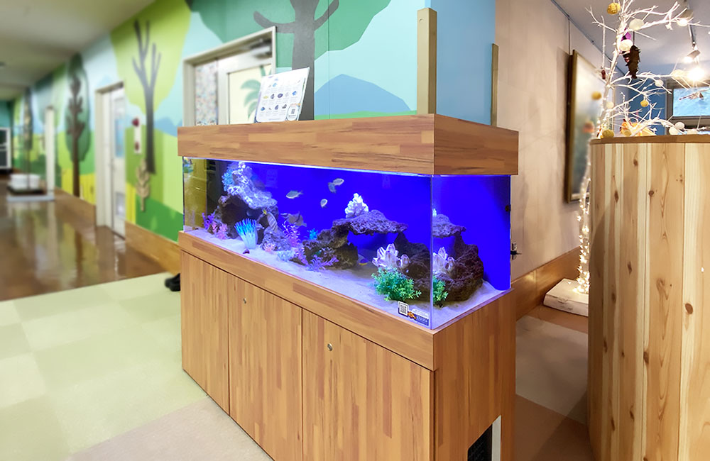 青い照明の海水魚水槽と木目調の水槽台のある廊下