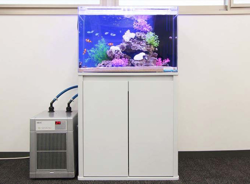白い水槽台に置かれた海水魚水槽と横に並ぶ水槽用クーラー