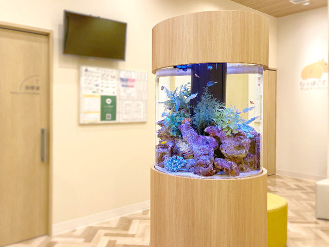 ひっぽこどもアレルギークリニック様 円柱 海水魚水槽販売・メンテナンス事例