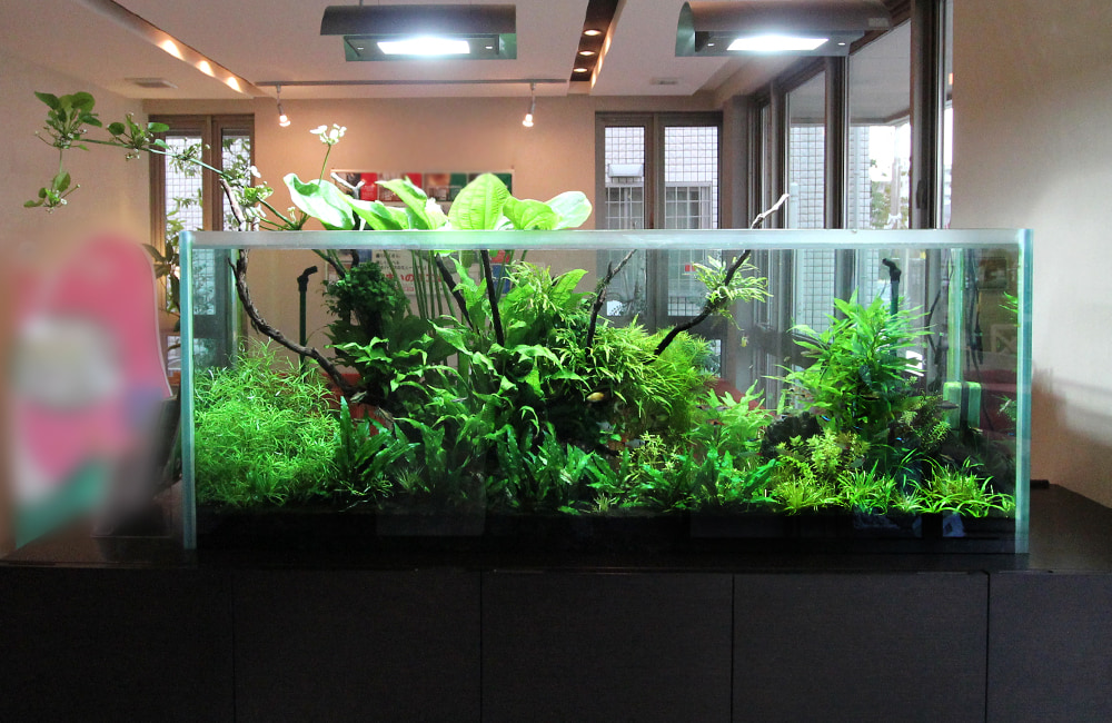 積水ハウス様 モデルハウスに設置 150cm淡水魚水槽販売・メンテナンス事例のサムネイル画像