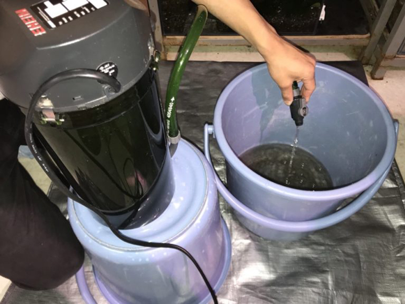 外部式フィルターの呼び水とバケツへの排水作業