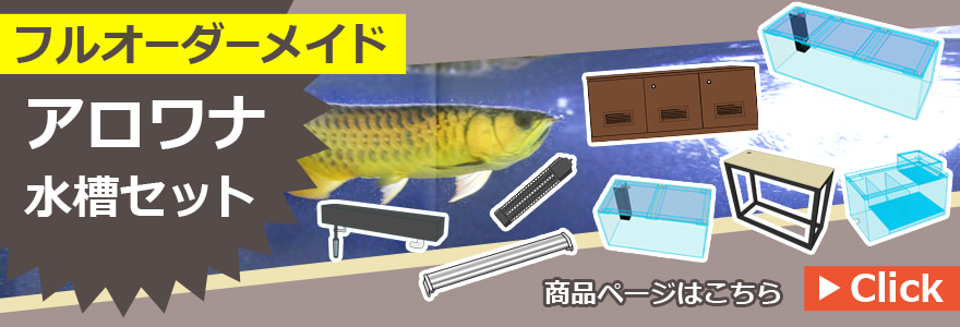 フルオーダーメイドアロワナ水槽セットの商品バナー画像