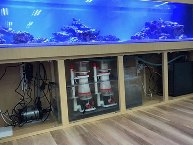 大型海水魚水槽と水槽台内部のろ過システム